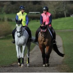 Weatherbeeta Adults Reflective Quilted Gilet Hi Vis Pink 1005273 Colour Pink 7 Weatherbeeta Adults Reflective Quilted Gilet Hi Vis Pink 1005273 Colour Pink -Equestrian Sports Series 1005273007 1005273002 1004916006 WB REFLECT Lifestyle scaled e1621425506867.700x700 2