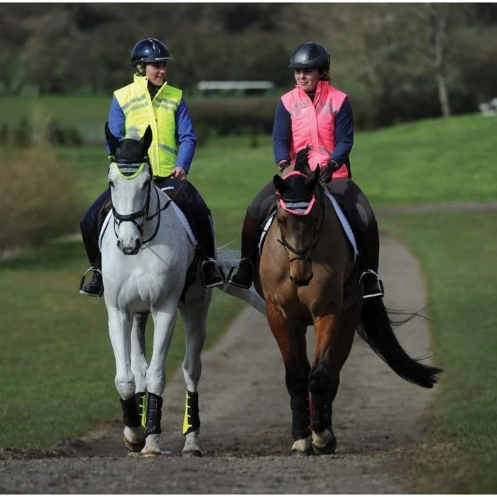 Weatherbeeta Adults Reflective Quilted Gilet Hi Vis Pink 1005273 Colour Pink 5 Weatherbeeta Adults Reflective Quilted Gilet Hi Vis Pink 1005273 Colour Pink - Image 3