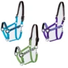 Millstone Rhombus Breakaway Halter -Equestrian Sports Series 10237 40 43