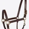Millstone Leather Halter With Brass Hardware -Equestrian Sports Series 10315 16 17