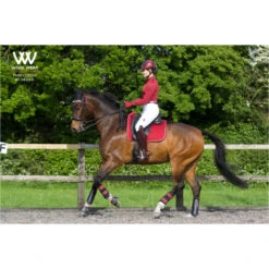 Woof Wear Dressage Saddle Cloth - Shiraz Colour Shiraz -Equestrian Sports Series 1789 Shiraz201.700x700