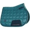 2022 Woof Wear Vision GP Saddle Pad WS0009 - Ocean Colour Ocean 2 2022 Woof Wear Vision GP Saddle Pad WS0009 - Ocean Colour Ocean -Equestrian Sports Series 202220Woof20Wear20Vision20GP20Saddle20Pad20WS000920 20Ocean.700x700