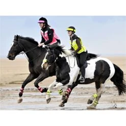 2022 Equisafety Horse Riding Hi-Vis WaistCoat HIT- Pink -Equestrian Sports Series 220horses20galloping20part20A 3.700x700