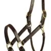 Gatsby Classic Adjustable Halter -Equestrian Sports Series 282561