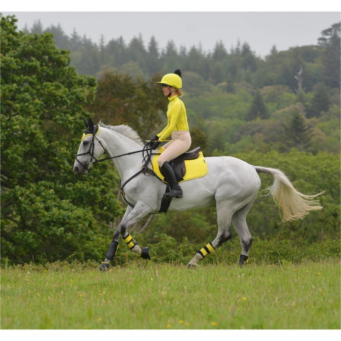 2022 Woof Wear GP Saddle Cloth WS0001 - Sunshine Yellow Colour Sunshine Yellow 4 2022 Woof Wear GP Saddle Cloth WS0001 - Sunshine Yellow Colour Sunshine Yellow - Image 2