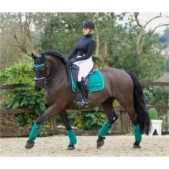 2022 Woof Wear Vision Dressage Pad WS0006 - British Racing Green Colour British Racing Green 7 2022 Woof Wear Vision Dressage Pad WS0006 - British Racing Green Colour British Racing Green -Equestrian Sports Series 2853 Vision20british20Racing20Green2091.700x700