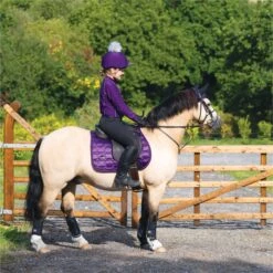 2022 Woof Wear Vision GP Saddle Pad WS0009 - Damsen Purple Colour Damsen Purple 7 2022 Woof Wear Vision GP Saddle Pad WS0009 - Damsen Purple Colour Damsen Purple -Equestrian Sports Series 4638 Damson20Vision20320 20low20res.700x700