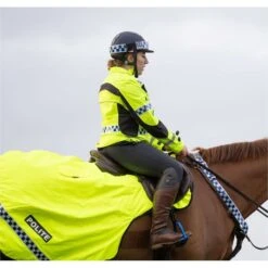 2023 Equisafety Polite Hi-Vis Lightweight Waterproof Jacket POLLWJ - Yellow 5 2023 Equisafety Polite Hi-Vis Lightweight Waterproof Jacket POLLWJ - Yellow -Equestrian Sports Series 5 7061.700x700 1