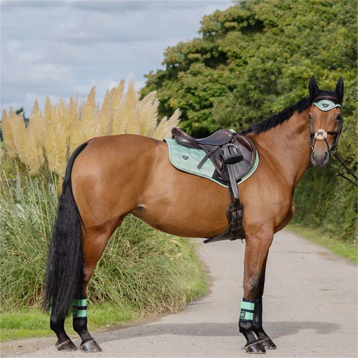 2022 Woof Wear Vision Dressage Pad WS0006 - Pistachio Colour Pistachio 4 2022 Woof Wear Vision Dressage Pad WS0006 - Pistachio Colour Pistachio - Image 2