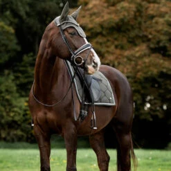 2022 PS Of Sweden Signature Dressage Cotton Saddle Pad 1110-022 - Forest Green -Equestrian Sports Series 5637 202220PS20Of20Sweden20Signature20Dressage20Cotton20Saddle20Pad201110 02220 2020Forest20Green20Lifestyle203.700x700