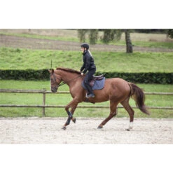 2023 Ariat Womens Breathe Eos Half Grip Recycled Materials Tights 10043401 - Black Colour Black -Equestrian Sports Series 5891 S23 WMS ENGL EnglishTraining033 Reitsportgalerie.700x700