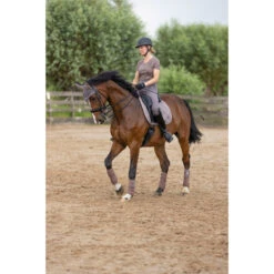 2023 HV Polo Jenna Dressage Saddle Pad 802093502 - Espresso Colour Espresso -Equestrian Sports Series 6152 203A6760.700x700