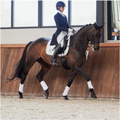 2023 Eskadron Highgloss Peacock Saddle Cloth & Round Bridle Number Holder Bundle PSNH23 - White -Equestrian Sports Series 6323 6273 202320Eskadron20Highgloss20Peacock20Saddle20Cloth202147312054420 20White20Lifestyle203.2000x2000.700x700