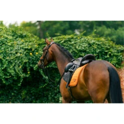 2023 HV Polo Dorian Dressage Saddle Pad 802093510 - Ginger Colour Ginger -Equestrian Sports Series 6948 LA 04209.700x700