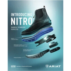 Ariat Womens Devon Nitro Zip Paddock Boots Wax Chocolate -Equestrian Sports Series Ariat Womens Devon Nitro Zip Paddock Boots Wax Chocolate Tech.700x700