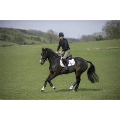 Charles Owen Pro II Plus Round Fit Skull Helmet Black -Equestrian Sports Series CHARLES OWEN HARRY MEADE HOME 15742.700x700