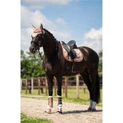 2023 Imperial Riding Lovely General Purpose Saddle Pad ZT73122000 - Rosy Colour Rosy 9 2023 Imperial Riding Lovely General Purpose Saddle Pad ZT73122000 - Rosy Colour Rosy -Equestrian Sports Series DSC02970.700x700