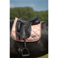 2023 Imperial Riding Lovely General Purpose Saddle Pad ZT73122000 - Rosy Colour Rosy 8 2023 Imperial Riding Lovely General Purpose Saddle Pad ZT73122000 - Rosy Colour Rosy -Equestrian Sports Series DSC03143.700x700