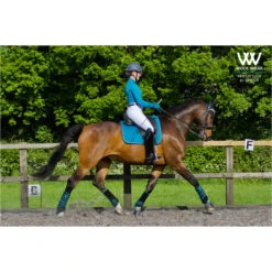2022 Woof Wear Womens Performance Riding Shirt WA0001 - Ocean Colour Ocean 11 2022 Woof Wear Womens Performance Riding Shirt WA0001 - Ocean Colour Ocean -Equestrian Sports Series Ocean206.700x700