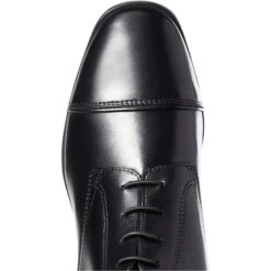 Ariat Womens Palisade Riding Boots Black 10036042 11 Ariat Womens Palisade Riding Boots Black 10036042 -Equestrian Sports Series S21 WMS ENGL 10036042 INTL toe.700x700