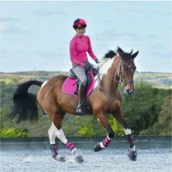 Woof Wear Womens Performance Riding Shirt Berry 7 Woof Wear Womens Performance Riding Shirt Berry -Equestrian Sports Series colour20lifestyle.700x700 2