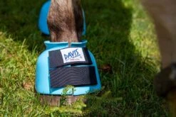 Equestrian Sports Series -Equestrian Sports Series davis baby blue bell boots close up