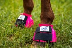 Davis Bell Boots -Equestrian Sports Series davis hot pink bell boots