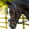KL Select Italia Pirouette Bridle -Equestrian Sports Series dressage bridle 13 2