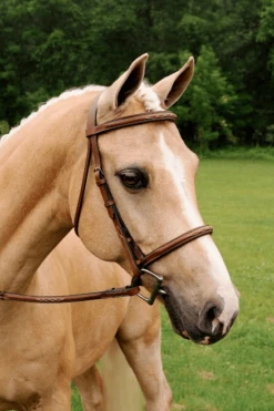 Arc De Triomphe Imperial Bridle With Raised Fancy Laced Reins