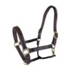 RHC Padded Leather Halter With Fancy Stitching -Equestrian Sports Series rs1518