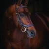 Rambo® Micklem Deluxe Competition Bridle -Equestrian Sports Series sbab53