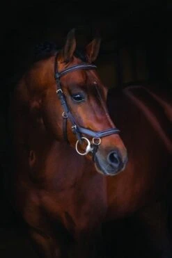 Rambo® Micklem Deluxe Competition Bridle