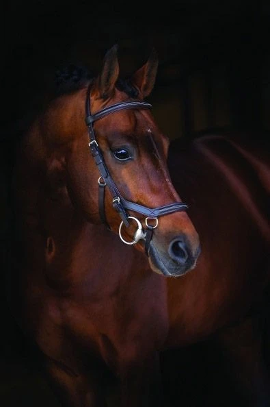 Rambo® Micklem Deluxe Competition Bridle 3 Rambo® Micklem Deluxe Competition Bridle