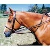 Tory Leather German Martingale & Reins - Center Buckle -Equestrian Sports Series tory leather german martingale reins center buckle 2.gif
