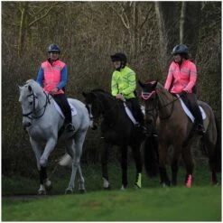 2022 Weatherbeeta Unisex Reflective Lightweight Waterproof Jacket 1005267 - Hi Vis Yellow Colour Hi Vis Yellow -Equestrian Sports Series weatherbeeta reflective lightweight waterproof jacket hi vis yellow 5B35D 71810 p.700x700 1