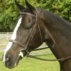 Red Barn Sovereign Bridle -Equestrian Sports Series yhst 130090801024353 2272 66122448
