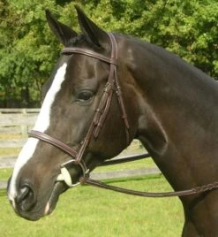 Red Barn Sovereign Bridle