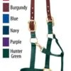 Weaver Breakaway Halter -Equestrian Sports Series yhst 130090801024353 2272 76733276